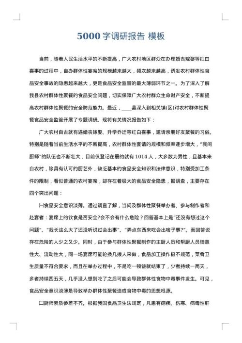 5000字调研报告