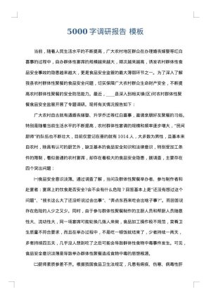 5000字调研报告