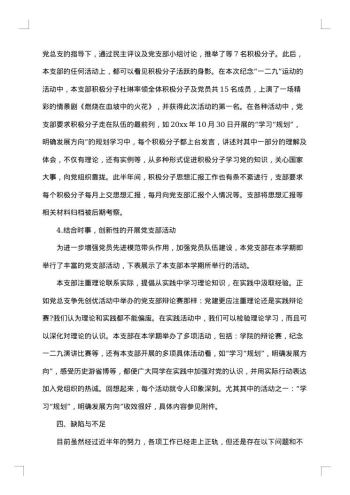 党支部工作总结