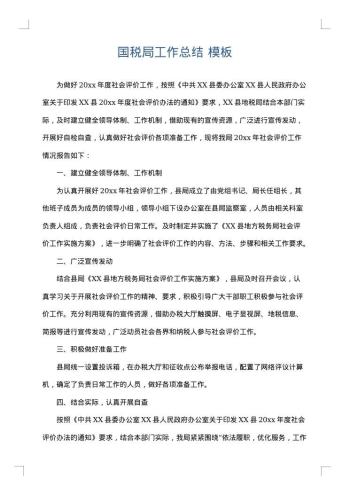 国税局工作总结