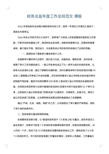 财务总监年度工作总结范文