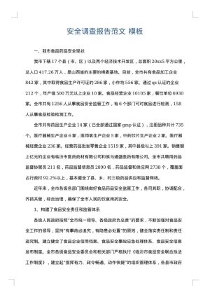 安全调查报告范文