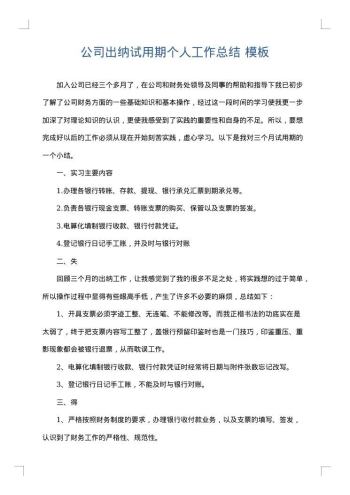 公司出纳试用期个人工作总结