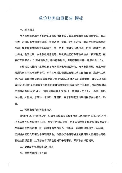 单位财务自查报告