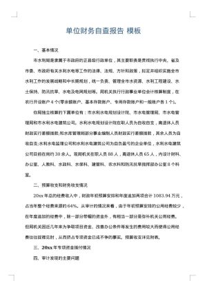 单位财务自查报告