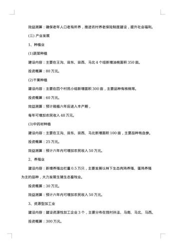 村脱贫计划书