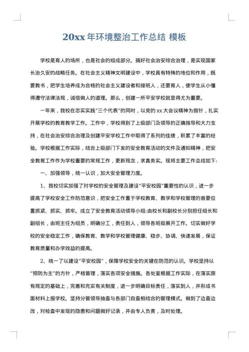 2025年环境整治工作总结