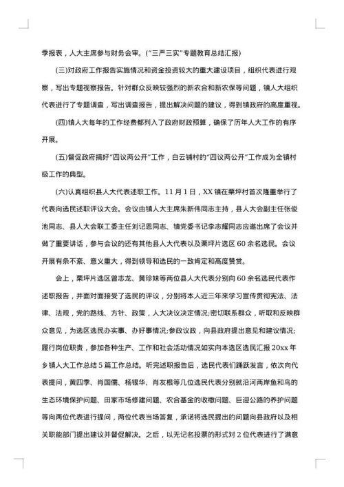 乡镇人大年终工作总结及工作计划