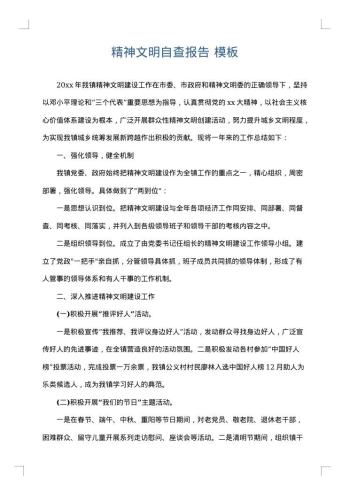 精神文明自查报告