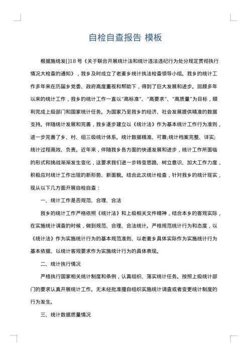 自检自查报告