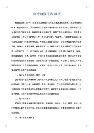 自检自查报告