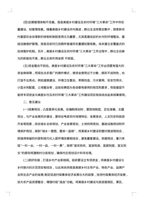 2025年环境整治调研报告