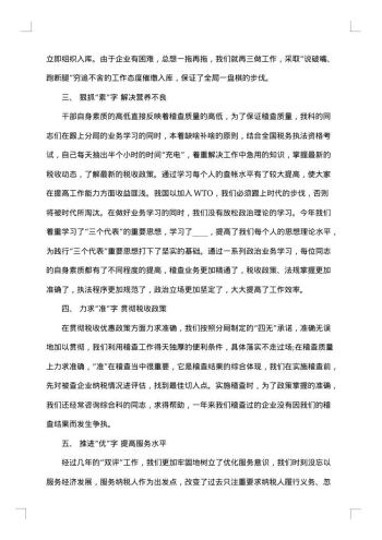 税务师个人工作总结范文