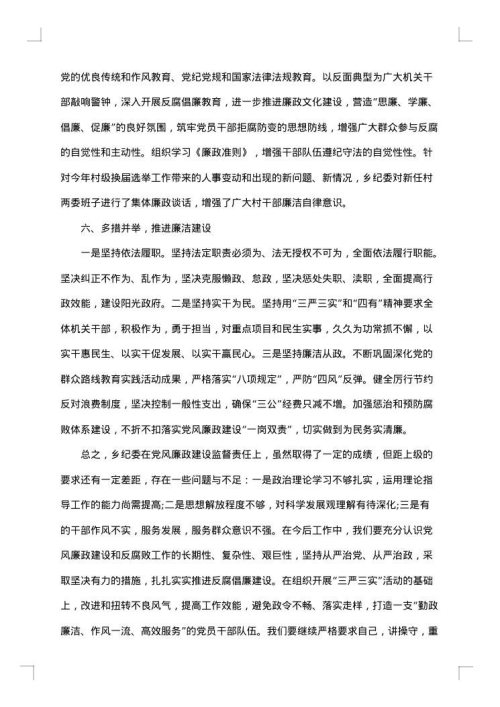 书记述廉报告