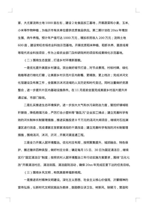 2025年乡村振兴专干工作总结