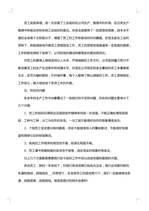 2025年个人年终总结