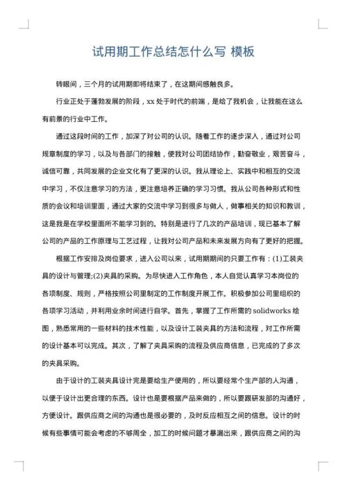 试用期工作总结怎什么写