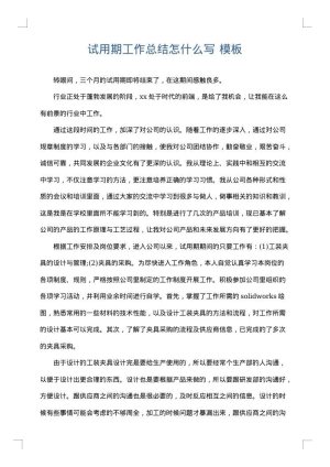 试用期工作总结怎什么写
