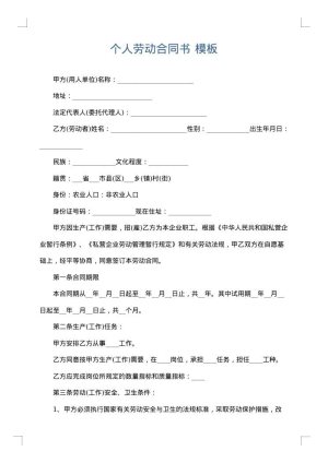 个人劳动合同书