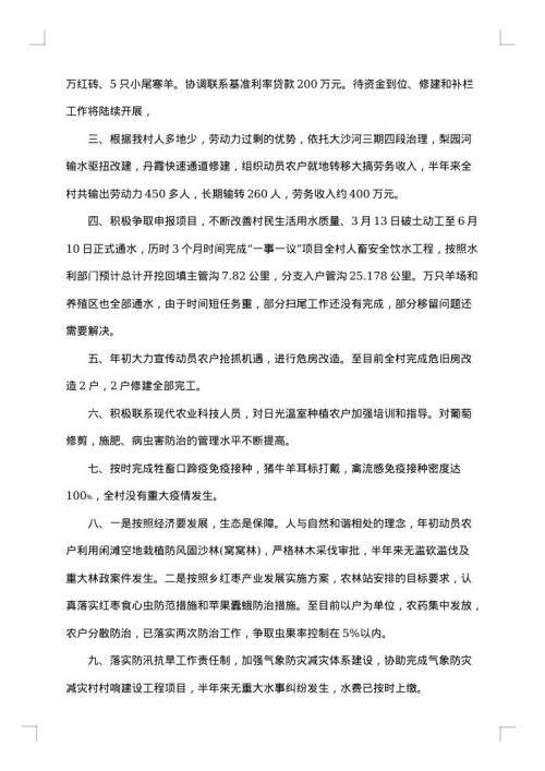 村委会上半年工作总结