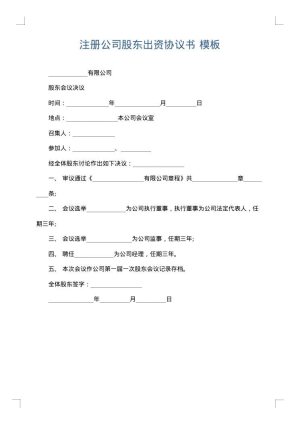 注册公司股东出资协议书