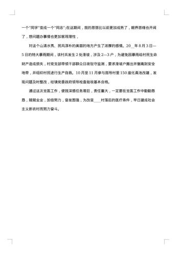 20xx年度个人工作报告