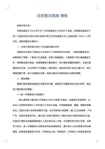 巡视整改措施