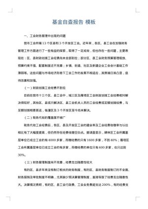 基金自查报告