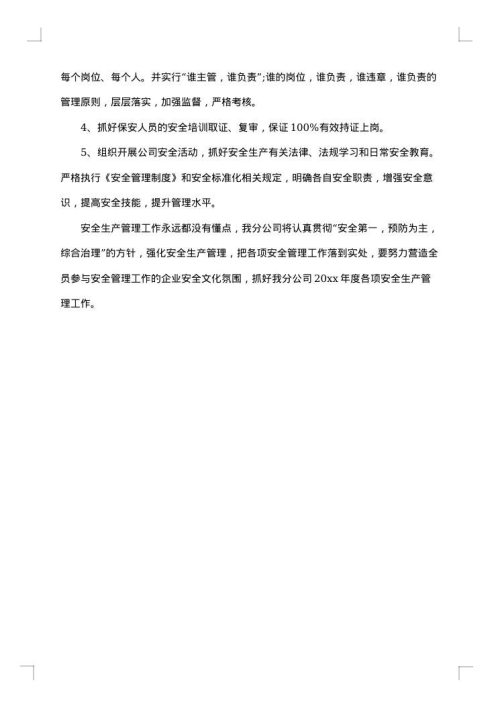 保安安全措施计划