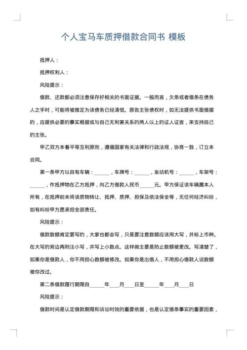 个人宝马车质押借款合同书