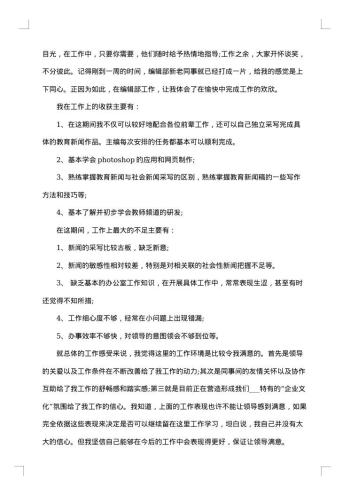 试用期工作总结公司