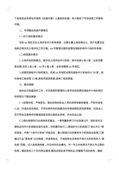 专项整治自查报告