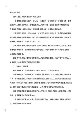 镇党委书记述职述廉报告