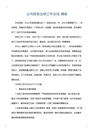 公司财务出纳工作总结