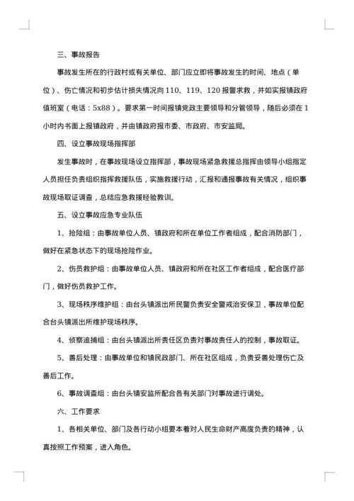 春节期间应急预案范文