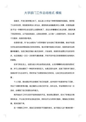 大学部门工作总结格式