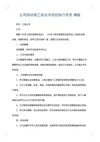 公司劳动用工协议书项目执行专员