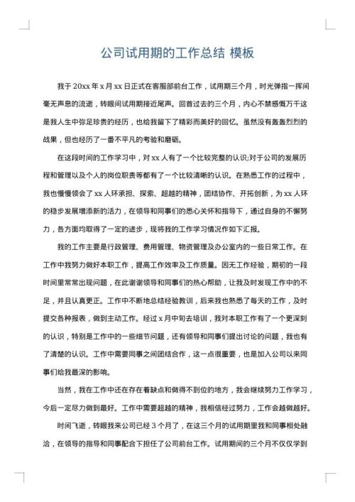公司试用期的工作总结