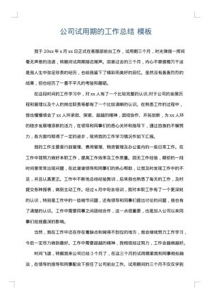公司试用期的工作总结