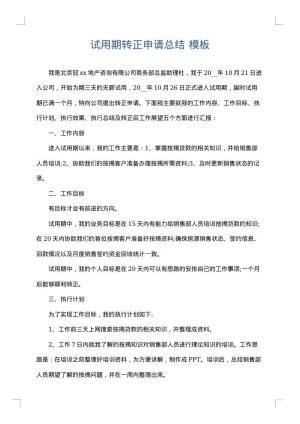 试用期转正申请总结