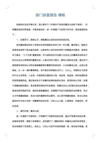 部门自查报告