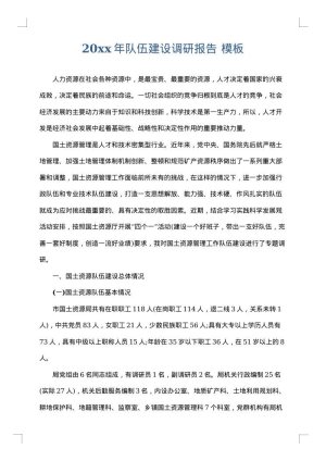 2025年队伍建设调研报告