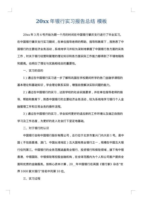 2025年银行实习报告总结
