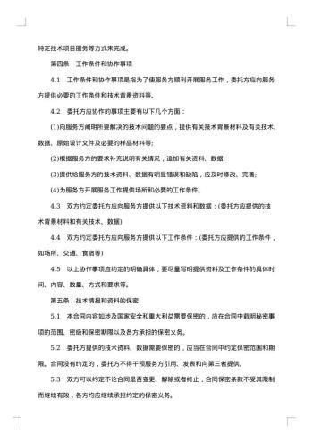 详尽版国外技术服务协议