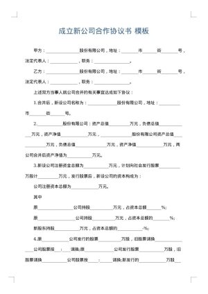 成立新公司合作协议书