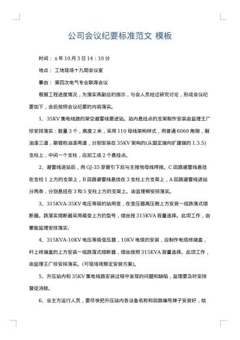 公司会议纪要标准范文