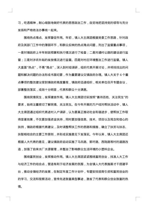 2025年镇人大工作总结范文