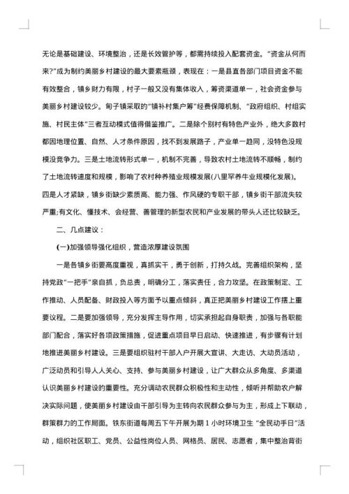 2025年村建设调研报告
