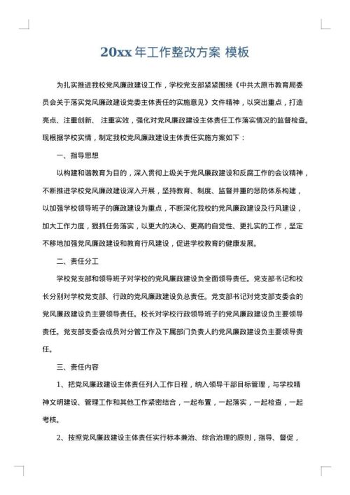 2025年工作整改方案