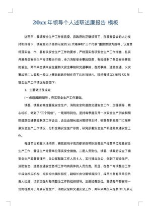 2025年领导个人述职述廉报告